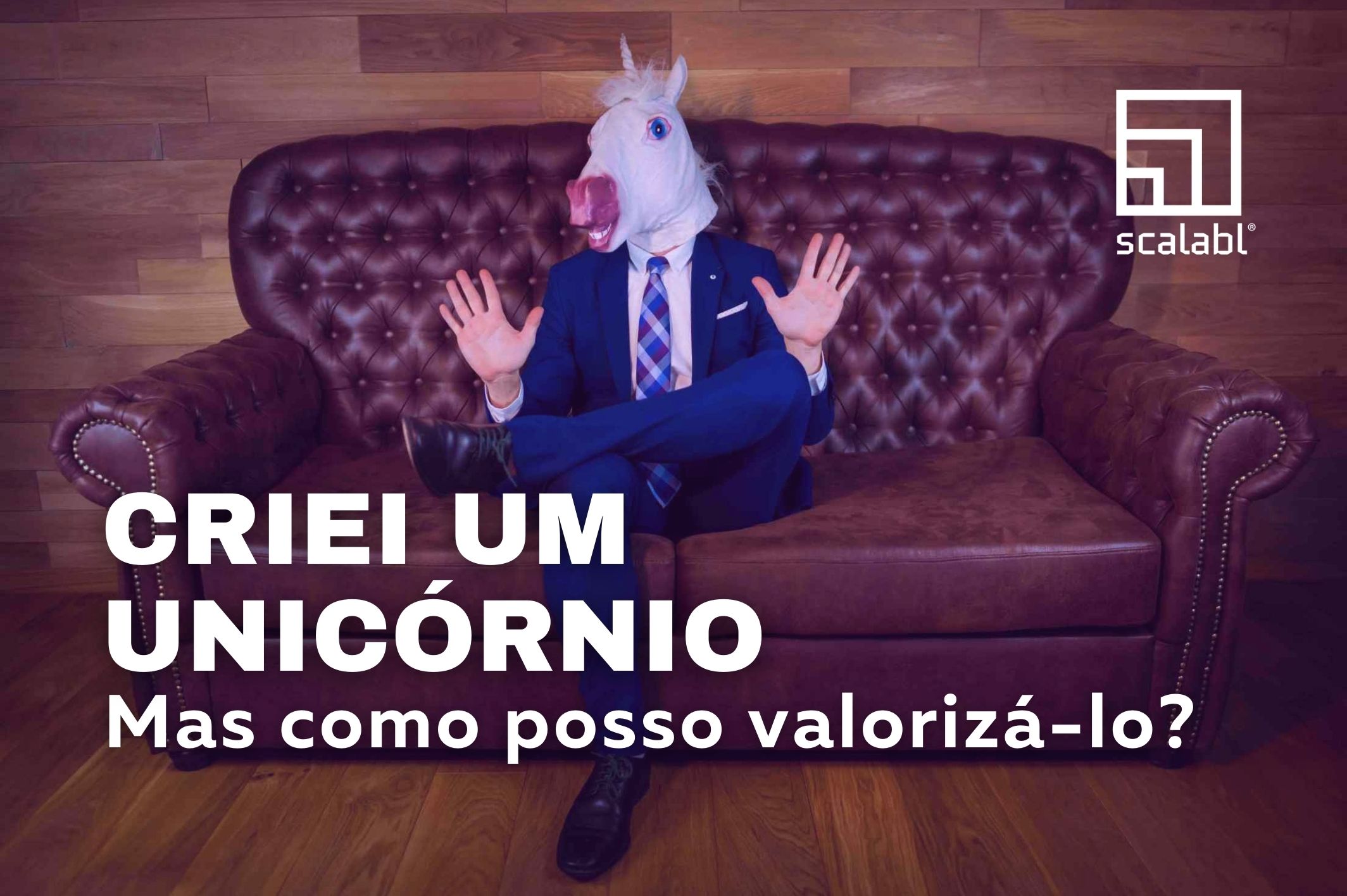 Criei um unicórnio. Mas como posso valorizá-lo?