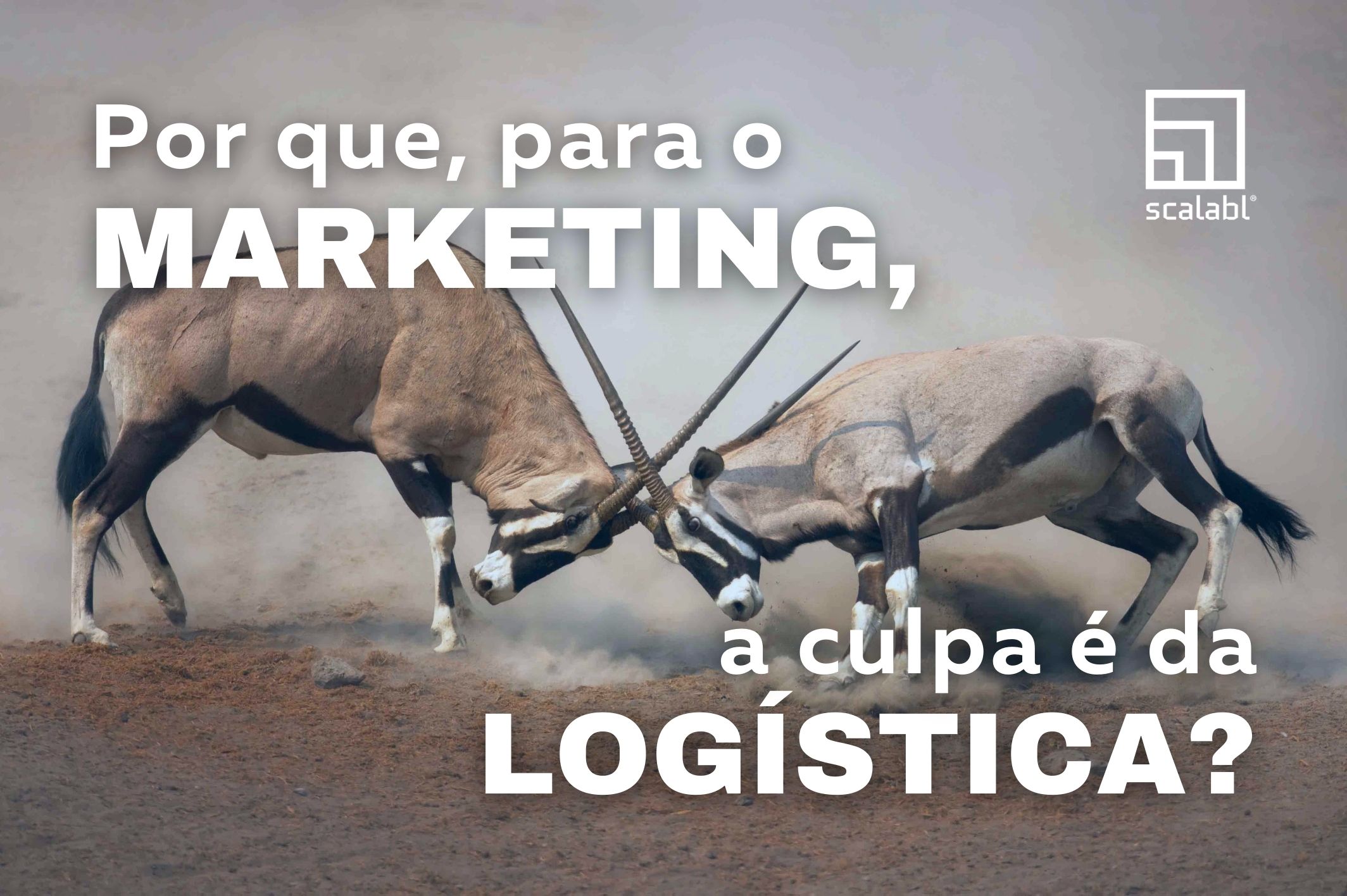 Por que, para o Marketing, a culpa é da Logística?